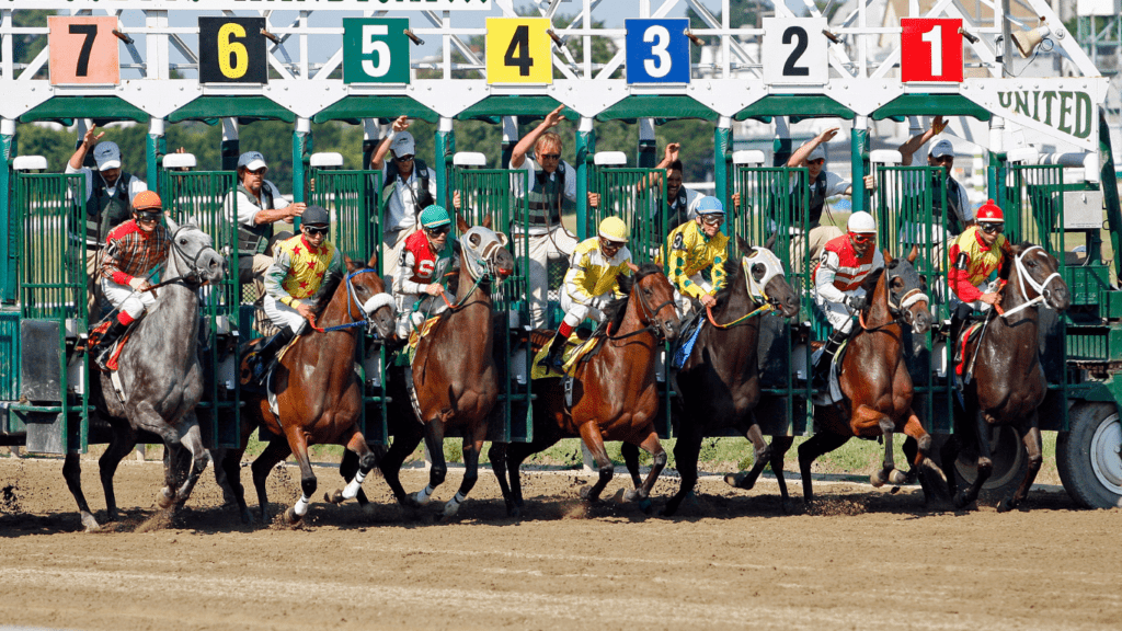 Decoding the Secrets of Successful Horse Racing Bets Insider Tips and Proven Strategies