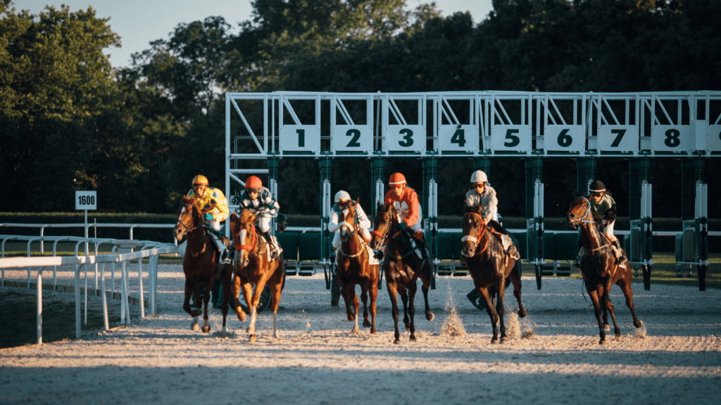 How to Bet on Horse Racing Like a Professional Top Strategies, Tools, and Expert Tips