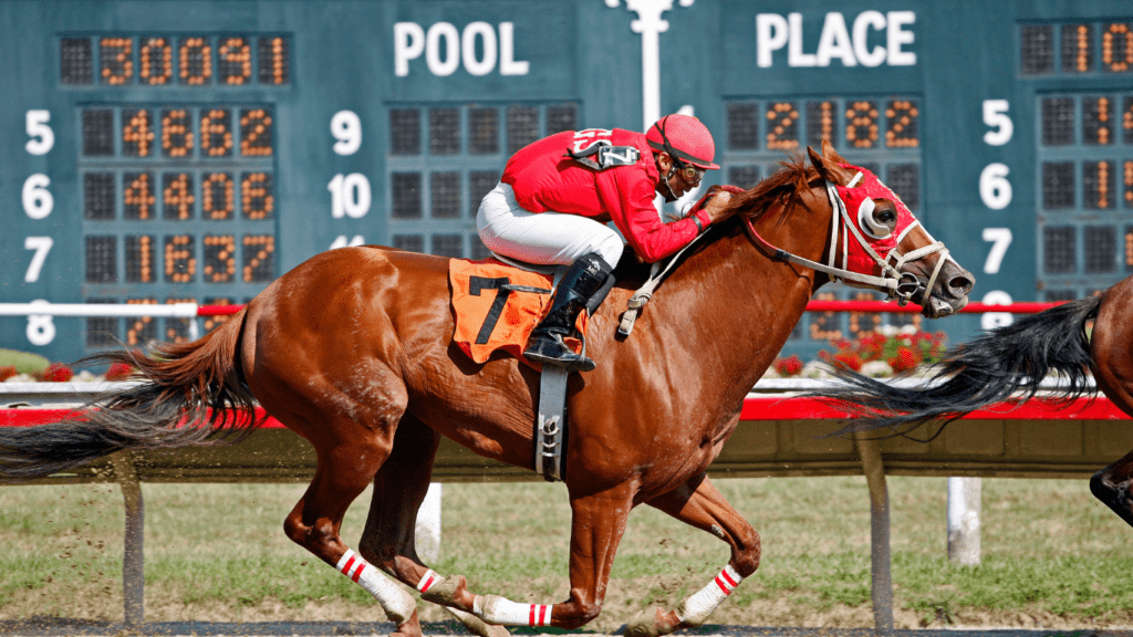 Key Factors for Successful Horse Racing Bets