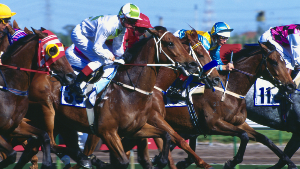 Major Factors Influencing the Economics of Horse Racing