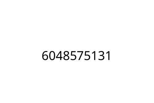 6048575131