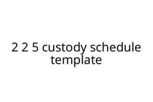 2 2 5 custody schedule template