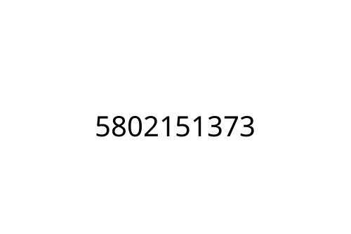 5802151373