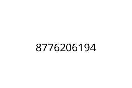 8776206194