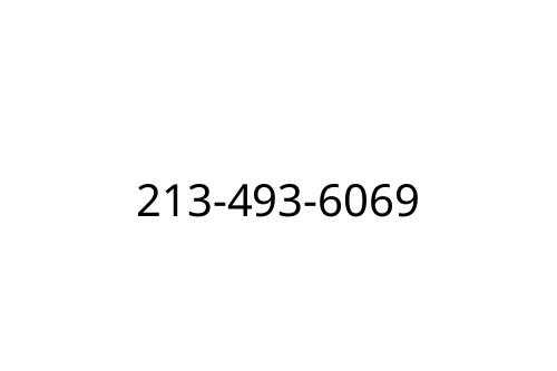 213-493-6069
