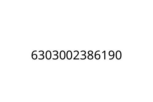 6303002386190