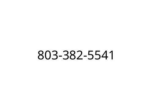 803-382-5541