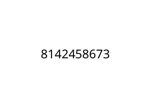 8142458673