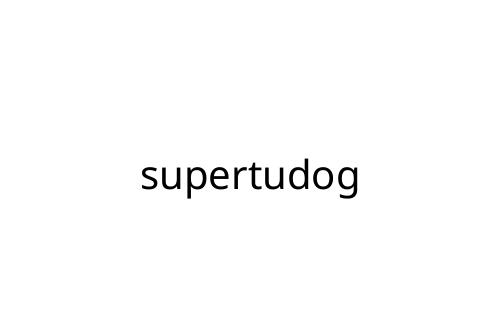 supertudog