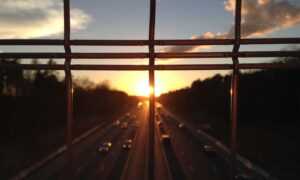 how to find sadatoaf ingredients