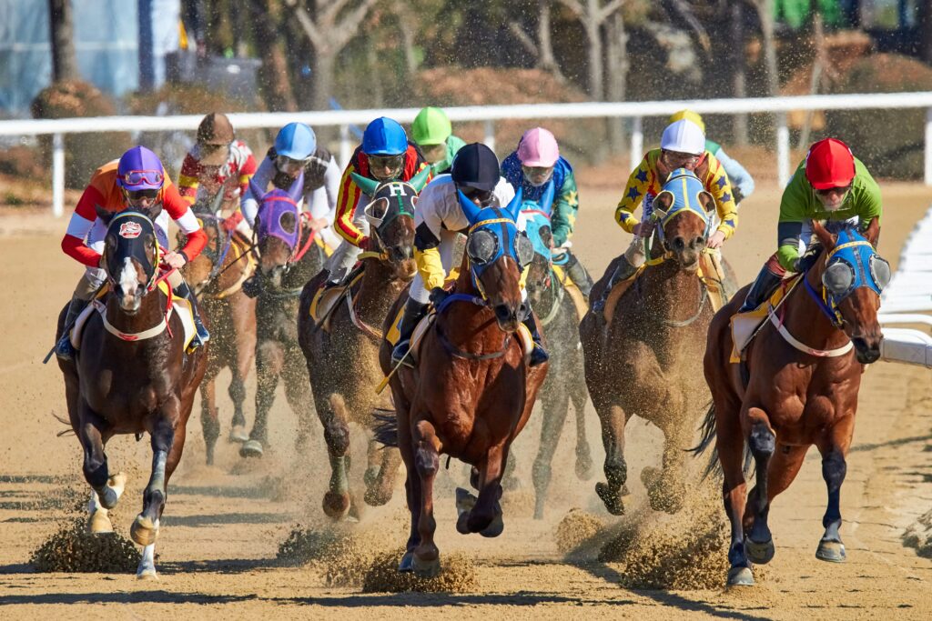 value betting horse racing