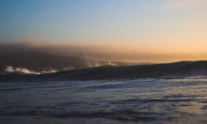 can the game honzava5 be played offline