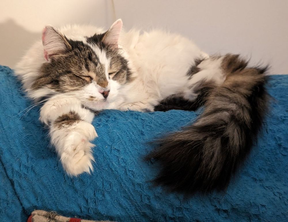 game version lightniteone pc