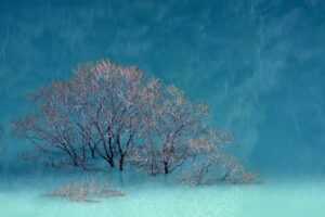 how to hacking zillexit software