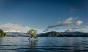 install mozillod5.2f5