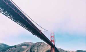 is bolytexcrose good for babies