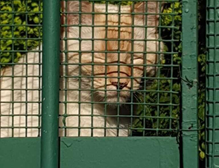 places to visit on the beevitius