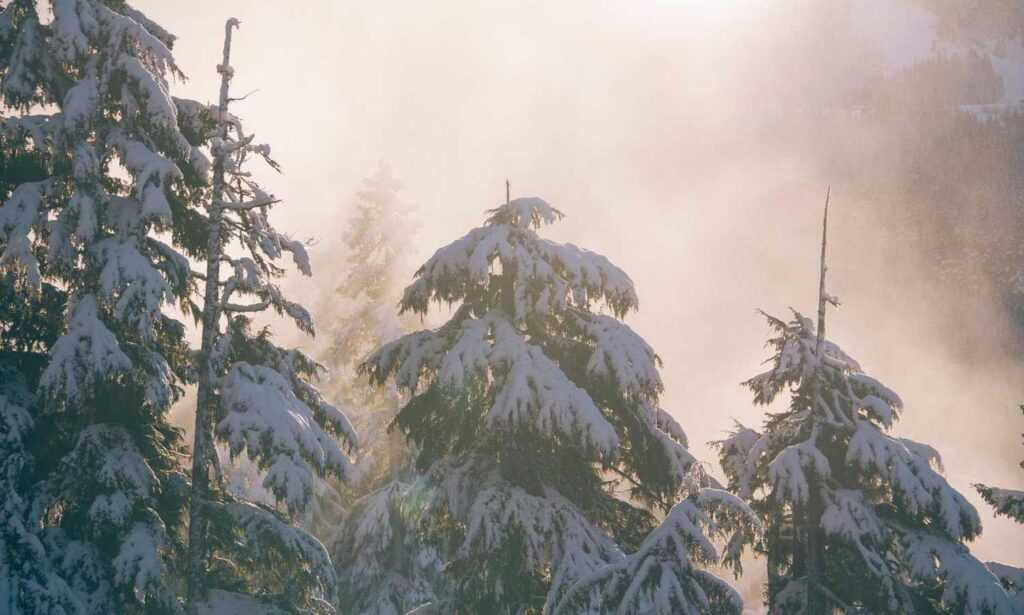 what is 8tshare6a python code