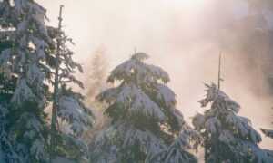 what is 8tshare6a python code