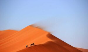 what to serve with wantrigyo