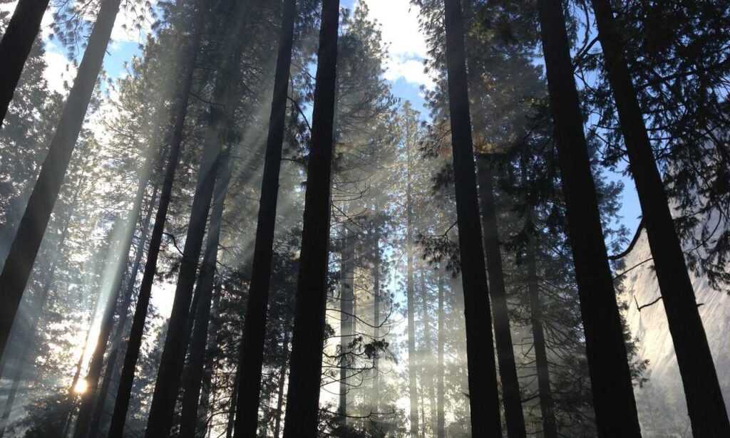 which area in beevitius is the best to stay