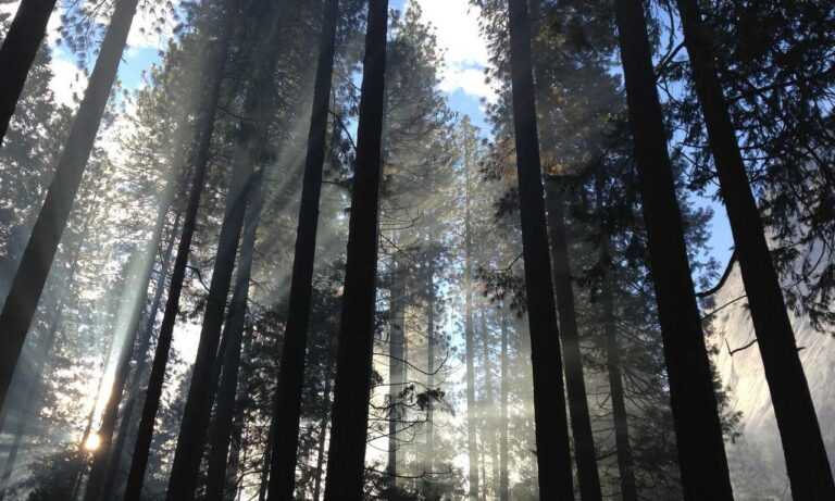 which area in beevitius is the best to stay