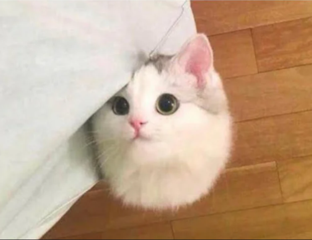 which laptops can run vastaywar