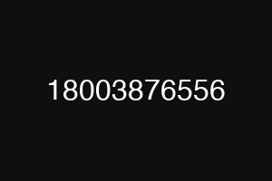 18003876556