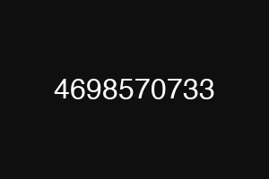 4698570733