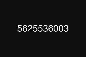 5625536003