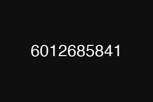 6012685841