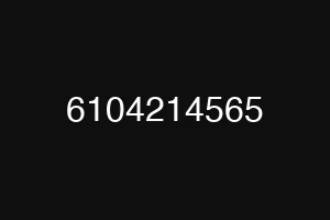 6104214565