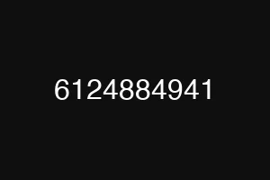 6124884941