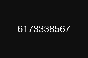 6173338567