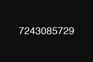 7243085729