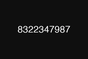 8322347987