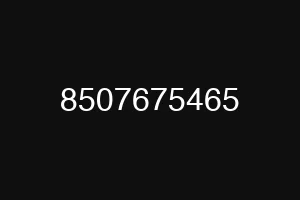 8507675465