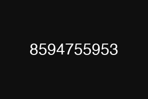8594755953