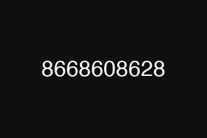 8668608628