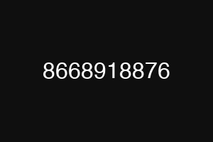 8668918876