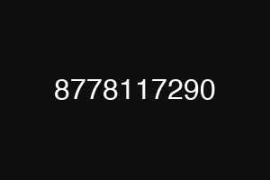 8778117290