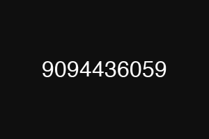9094436059