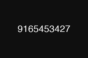 9165453427