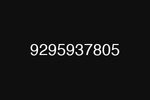 9295937805
