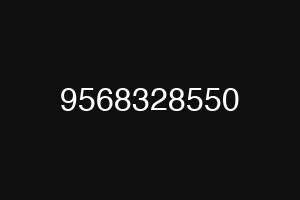 9568328550