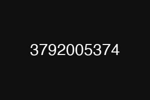 3792005374