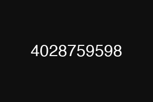 4028759598