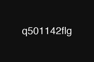 q501142flg