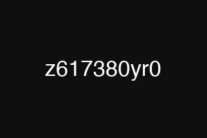 z617380yr0