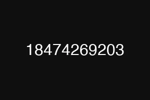 18474269203
